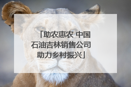 助农惠农 中国石油吉林销售公司助力乡村振兴