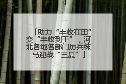 助力“丰收在田”变“丰收到手”，河北各地各部门厉兵秣马迎战“三夏”