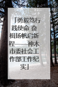 勇毅笃行践使命 奋楫扬帆启新程——神木市委社会工作部工作纪实