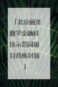 北京丽泽数字金融科技示范园项目首栋封顶