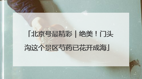北京号最精彩｜绝美！门头沟这个景区芍药已花开成海