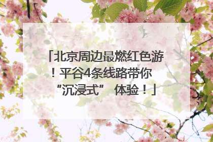 北京周边最燃红色游！平谷4条线路带你 “沉浸式” 体验！