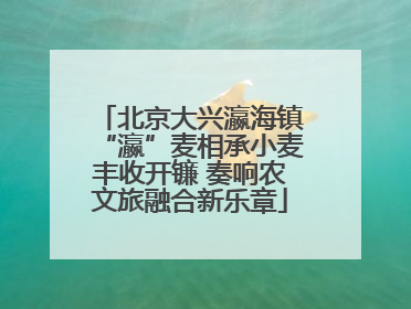 北京大兴瀛海镇“瀛”麦相承小麦丰收开镰 奏响农文旅融合新乐章
