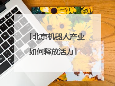 北京机器人产业如何释放活力