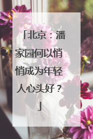 北京：潘家园何以悄悄成为年轻人心头好？