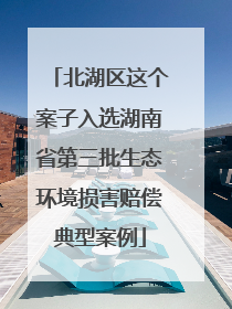 北湖区这个案子入选湖南省第三批生态环境损害赔偿典型案例