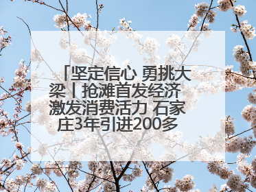 坚定信心 勇挑大梁丨抢滩首发经济 激发消费活力 石家庄3年引进200多家品牌首店