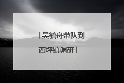 吴毓舟带队到西坪镇调研
