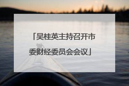 吴桂英主持召开市委财经委员会会议