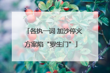 各执一词 加沙停火方案陷“罗生门”