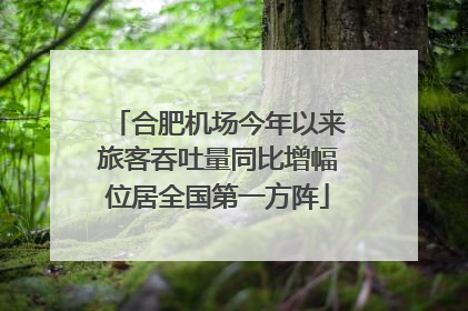 合肥机场今年以来旅客吞吐量同比增幅位居全国第一方阵