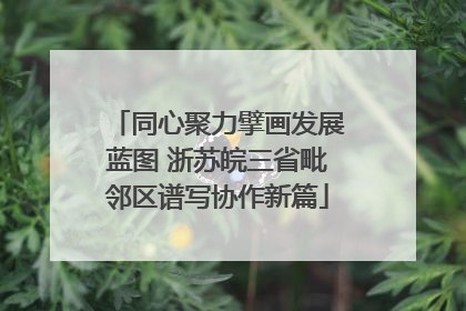 同心聚力擘画发展蓝图 浙苏皖三省毗邻区谱写协作新篇
