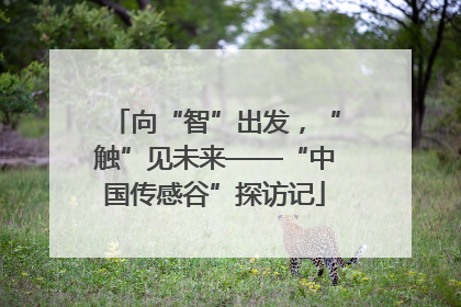 向“智”出发，“触”见未来——“中国传感谷”探访记