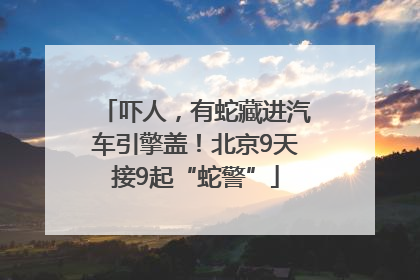 吓人，有蛇藏进汽车引擎盖！北京9天接9起“蛇警”