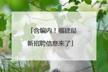 含编内！福建最新招聘信息来了