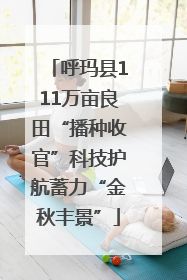 呼玛县111万亩良田“播种收官”科技护航蓄力“金秋丰景”