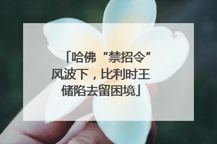 哈佛“禁招令”风波下，比利时王储陷去留困境