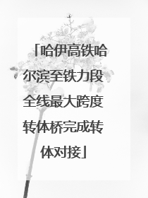 哈伊高铁哈尔滨至铁力段全线最大跨度转体桥完成转体对接