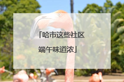 哈市这些社区端午味道浓