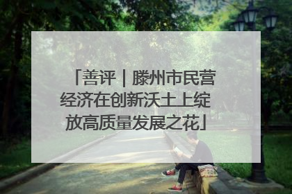 善评｜滕州市民营经济在创新沃土上绽放高质量发展之花