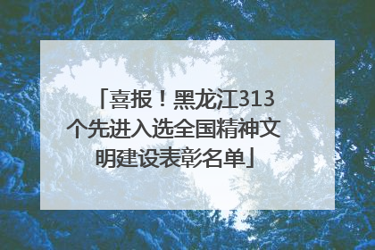 喜报！黑龙江313个先进入选全国精神文明建设表彰名单