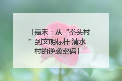 嘉禾：从“拳头村”到文明标杆 清水村的逆袭密码