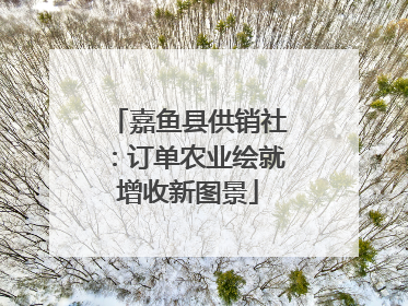 嘉鱼县供销社：订单农业绘就增收新图景