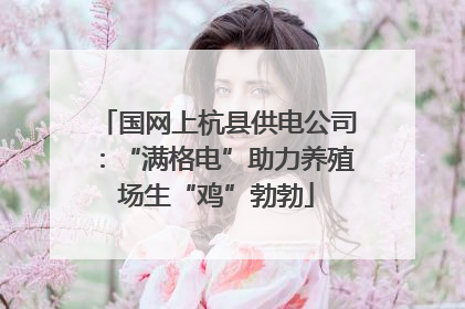 国网上杭县供电公司：“满格电”助力养殖场生“鸡”勃勃