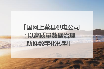 国网上蔡县供电公司：以高质量数据治理 助推数字化转型