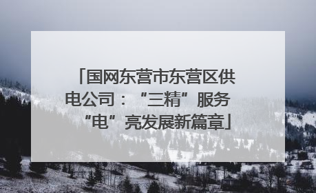 国网东营市东营区供电公司：“三精”服务“电”亮发展新篇章