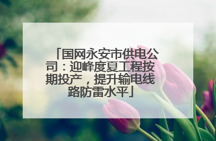 国网永安市供电公司：迎峰度夏工程按期投产，提升输电线路防雷水平