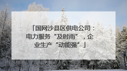 国网沙县区供电公司：电力服务“及时雨”，企业生产“动能强”