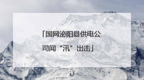 国网泌阳县供电公司闻“汛”出击