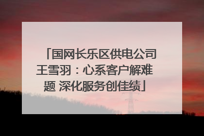 国网长乐区供电公司王雪羽：心系客户解难题 深化服务创佳绩