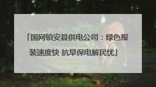 国网镇安县供电公司：绿色报装速度快 抗旱保电解民忧