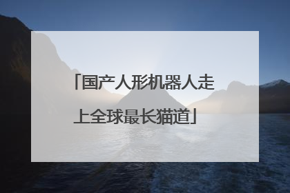 国产人形机器人走上全球最长猫道