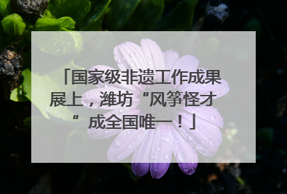 国家级非遗工作成果展上，潍坊“风筝怪才”成全国唯一！