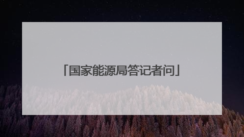 国家能源局答记者问