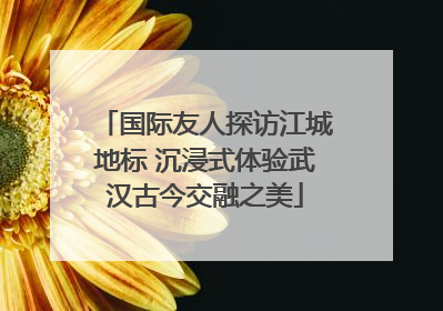 国际友人探访江城地标 沉浸式体验武汉古今交融之美