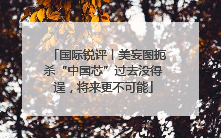 国际锐评丨美妄图扼杀“中国芯”过去没得逞，将来更不可能