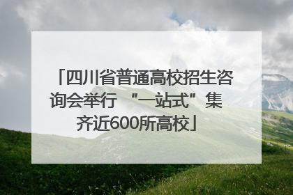 四川省普通高校招生咨询会举行 “一站式”集齐近600所高校