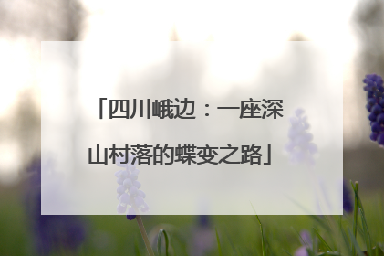 四川峨边：一座深山村落的蝶变之路