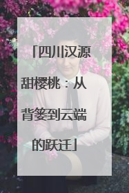 四川汉源甜樱桃：从背篓到云端的跃迁