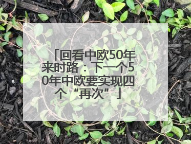 回看中欧50年来时路：下一个50年中欧要实现四个“再次”