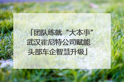 团队练就“大本事” 武汉霍尼特公司赋能头部车企智慧升级
