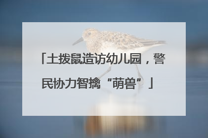 土拨鼠造访幼儿园，警民协力智擒“萌兽”
