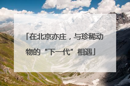 在北京亦庄，与珍稀动物的“下一代”相遇