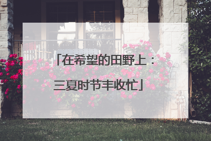 在希望的田野上：三夏时节丰收忙