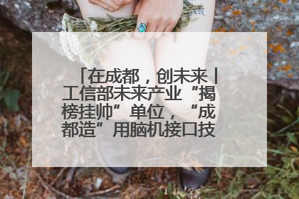 在成都，创未来丨工信部未来产业“揭榜挂帅”单位，“成都造”用脑机接口技术造福孤独症儿童