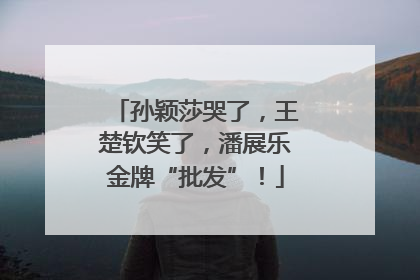 孙颖莎哭了，王楚钦笑了，潘展乐金牌“批发”！